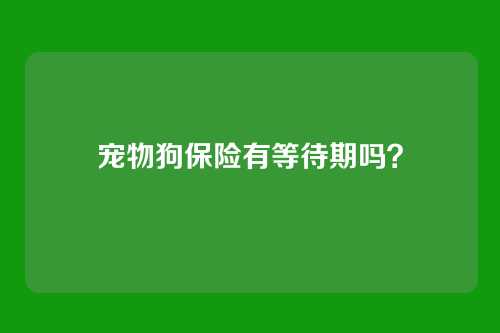 宠物狗保险有等待期吗？