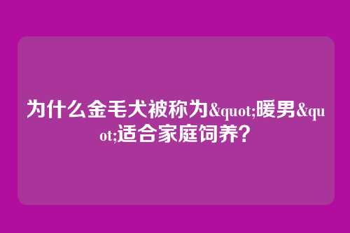 为什么金毛犬被称为"暖男"适合家庭饲养？