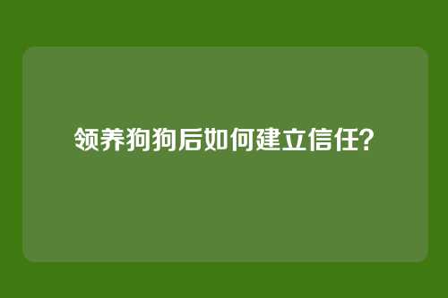 领养狗狗后如何建立信任？