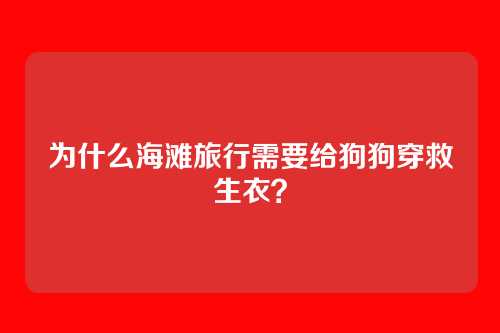 为什么海滩旅行需要给狗狗穿救生衣？