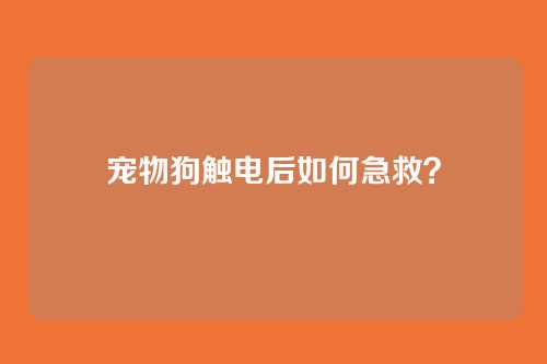宠物狗触电后如何急救？