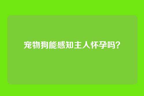 宠物狗能感知主人怀孕吗？