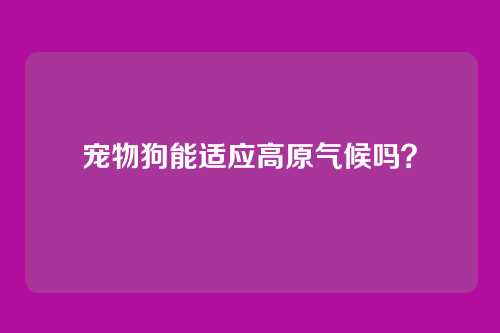 宠物狗能适应高原气候吗？