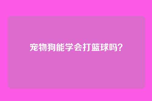 宠物狗能学会打篮球吗？