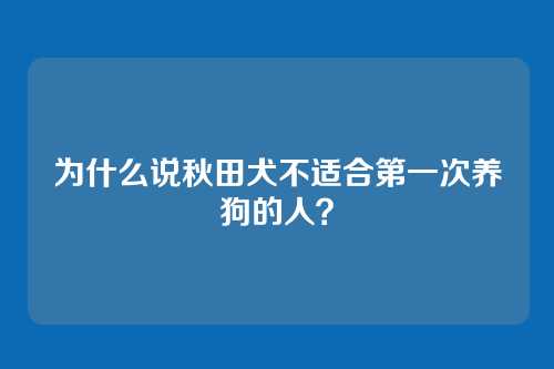 为什么说秋田犬不适合第一次养狗的人？