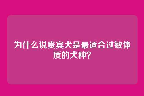 为什么说贵宾犬是最适合过敏体质的犬种？