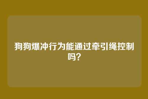 狗狗爆冲行为能通过牵引绳控制吗？