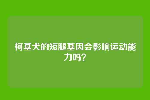 柯基犬的短腿基因会影响运动能力吗？