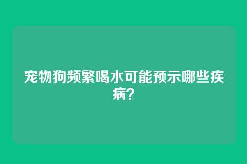 宠物狗频繁喝水可能预示哪些疾病？