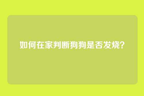 如何在家判断狗狗是否发烧？
