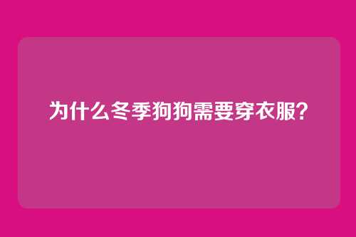为什么冬季狗狗需要穿衣服？
