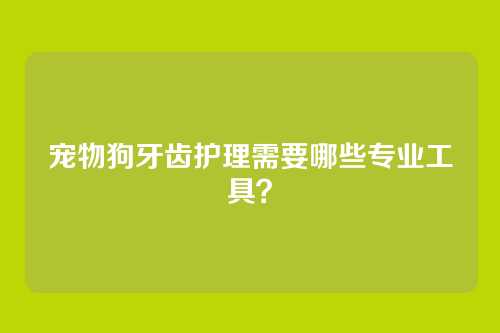 宠物狗牙齿护理需要哪些专业工具？