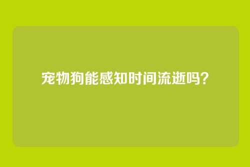 宠物狗能感知时间流逝吗？