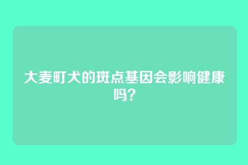 大麦町犬的斑点基因会影响健康吗？