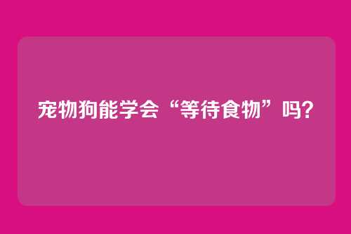 宠物狗能学会“等待食物”吗？