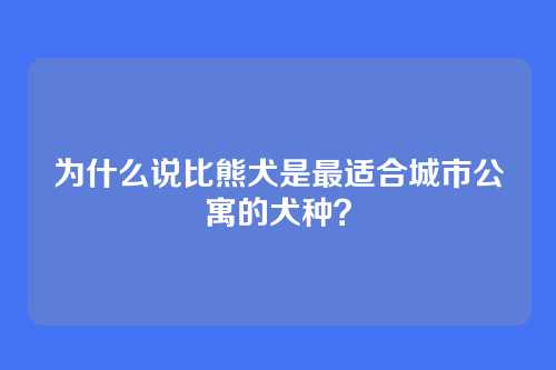 为什么说比熊犬是最适合城市公寓的犬种？