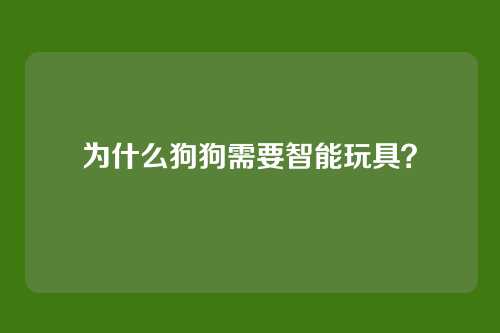 为什么狗狗需要智能玩具？