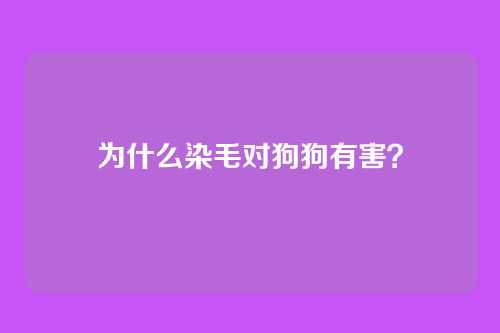 为什么染毛对狗狗有害？