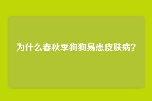 为什么春秋季狗狗易患皮肤病？