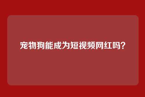 宠物狗能成为短视频网红吗？