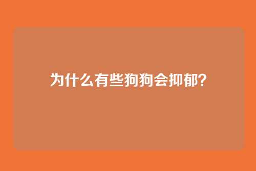 为什么有些狗狗会抑郁？