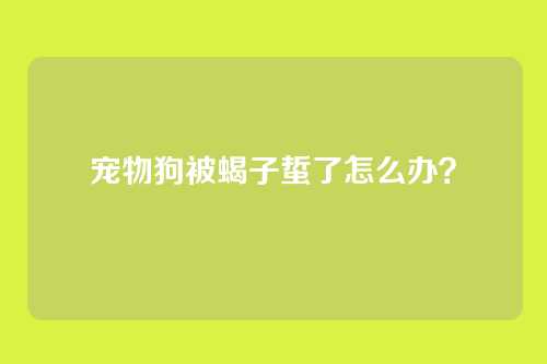 宠物狗被蝎子蜇了怎么办？