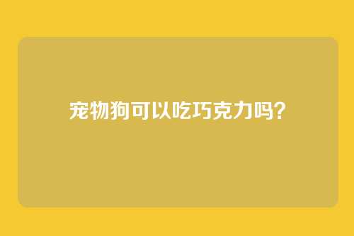 宠物狗可以吃巧克力吗？