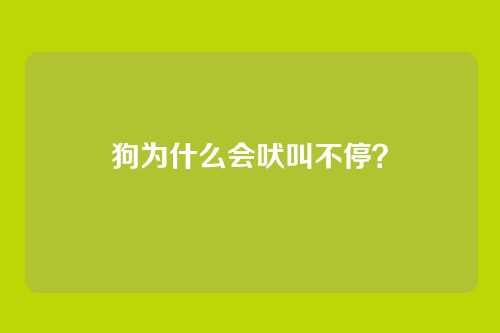 狗为什么会吠叫不停？