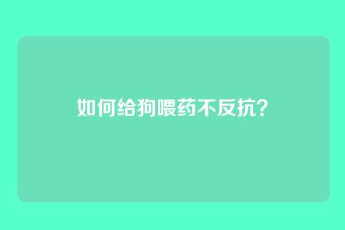 如何给狗喂药不反抗？