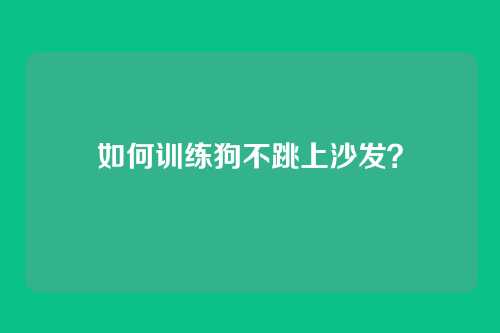 如何训练狗不跳上沙发？