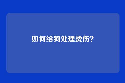 如何给狗处理烫伤？