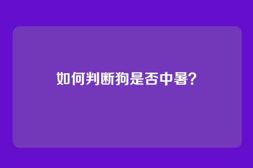 如何判断狗是否中暑？