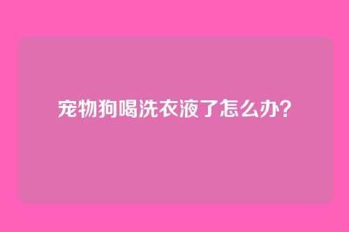 宠物狗喝洗衣液了怎么办？