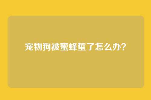 宠物狗被蜜蜂蜇了怎么办？