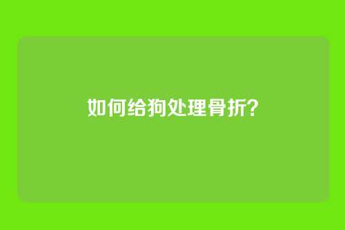 如何给狗处理骨折？