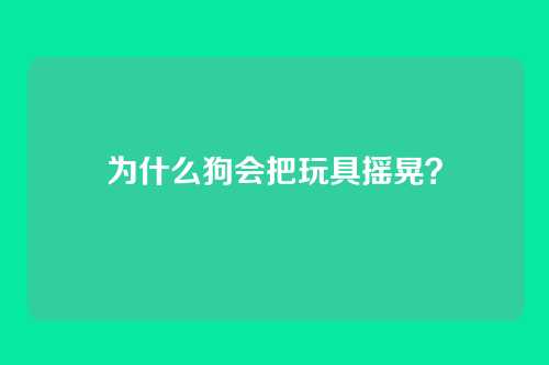 为什么狗会把玩具摇晃？
