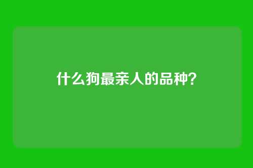 什么狗最亲人的品种？