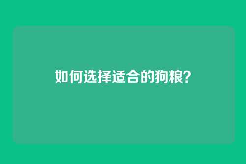 如何选择适合的狗粮？