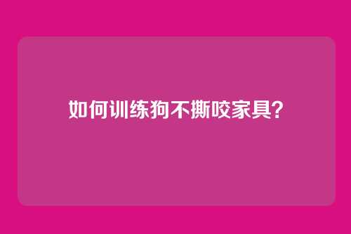 如何训练狗不撕咬家具？