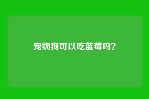 宠物狗可以吃蓝莓吗？