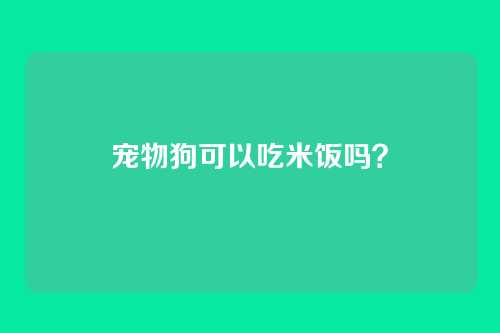 宠物狗可以吃米饭吗？