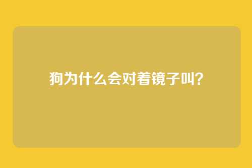 狗为什么会对着镜子叫？