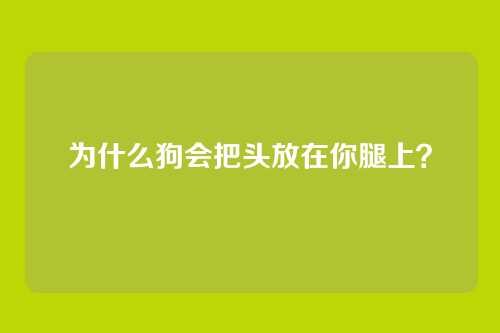 为什么狗会把头放在你腿上？
