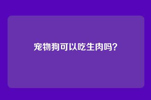 宠物狗可以吃生肉吗？