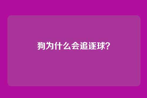 狗为什么会追逐球？