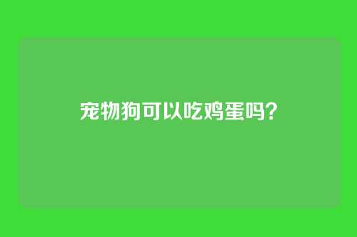 宠物狗可以吃鸡蛋吗？