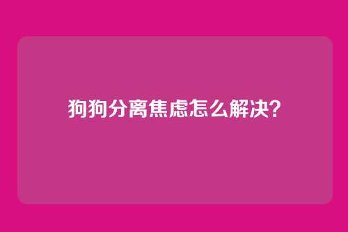 狗狗分离焦虑怎么解决？