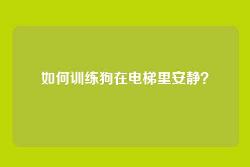 如何训练狗在电梯里安静？