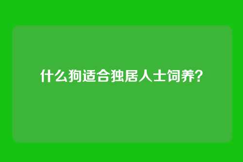 什么狗适合独居人士饲养？