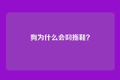 狗为什么会叼拖鞋？